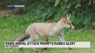Rabid fox attack at Long Pond Village Apartments
