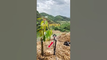 Cách lắp hệ thống tưới chuẩn cho bà con nông dân