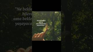 🦋 #sözler #sözlerköşkü #şiir #siir #kitap #edebiyatkalıntıları #kısasözler #hayat #felsefe