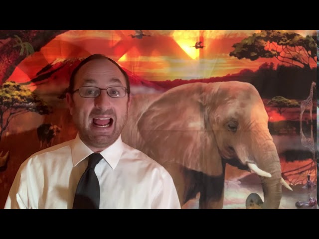 Animal Torah: The Elephant and Sukkoth