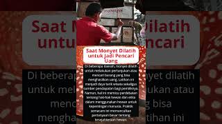 Saat Monyet Dilatih untuk Jadi Pencari Uang #viralshorts #fyp #shorts #unik #agaklaen