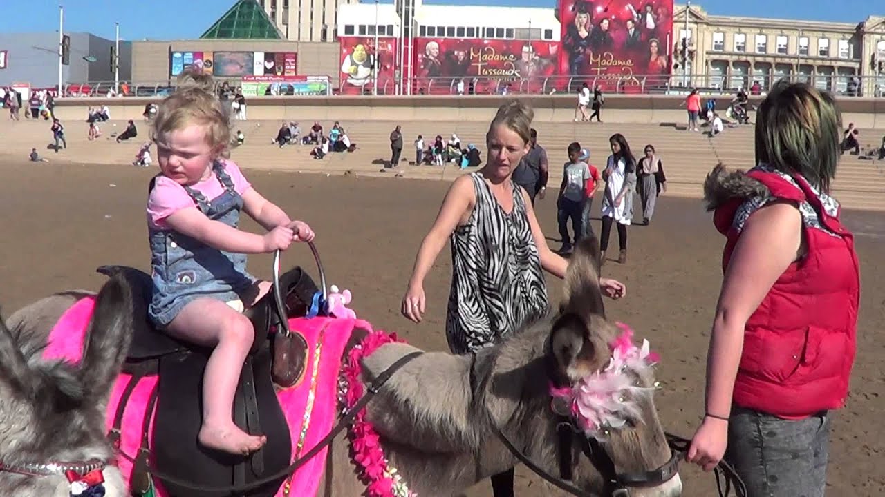 Riding the donkey's at Blackpool
