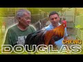 Visita al CRIADERO de Gallos FENIX de DOUGLAS CHIONG | FENIX PERU 🐓🐣