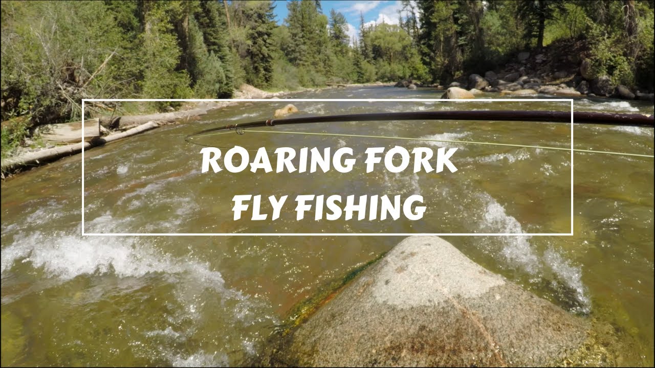Love Some Nice Pocket Water Roaring Fork Fly Fishing on the Way to