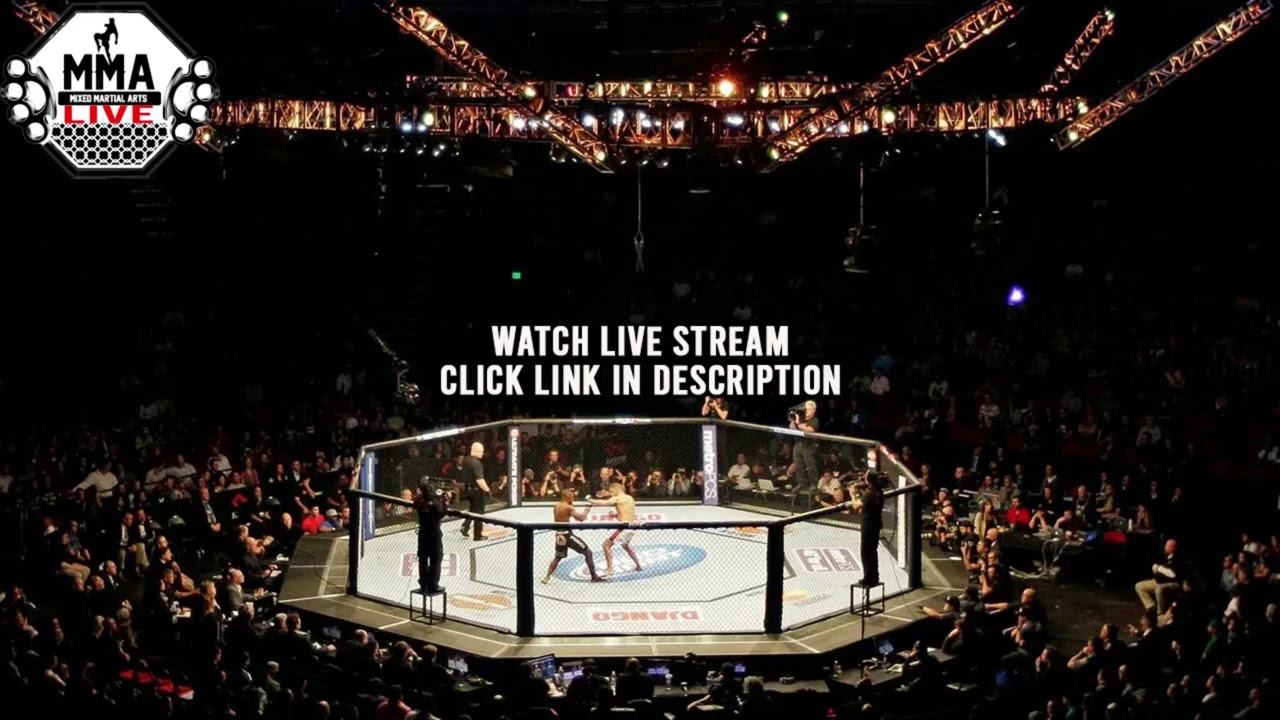 ART OF WAR CAGE FIGHTING 29