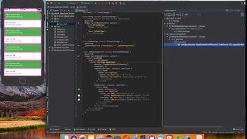 Flutter Debug and Flutter Outline