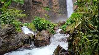 Peaceful River Flowing Sound | Gentle River, Relaxing Nature Sounds | White Noise for Sleep, Study