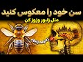 معجزه براماری چشمه جوانی که در جمجمه شما پنهان شده است 