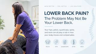 Lower Back Pain? Your Lower Back May NOT Be the Problem #back  #pain #wellness #fyp #health #tips