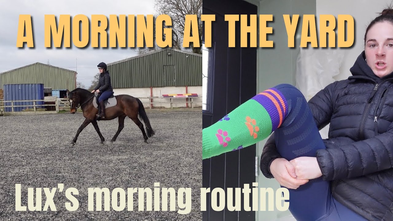 MY HORSES MORNING ROUTINE - YouTube