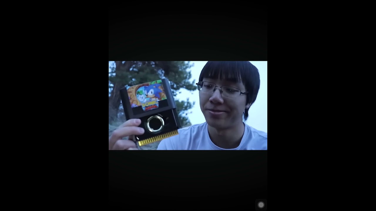 today I having a sonic collection edition 2d sonic king Liang model