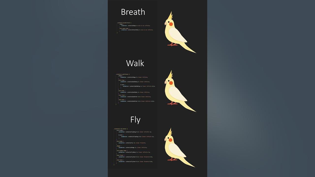 CSS animation example #cssanimation - YouTube