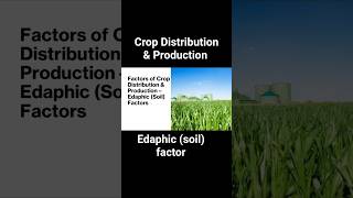 Edaphic (Soil) Factors | Crop Distribution &amp; Production | #GS1  #Agriculture #Optional
