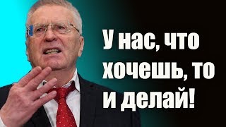 Жириновский о честности.