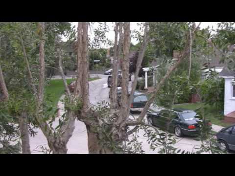 Long Beach Real Estate for sale - 2326 Carroll Par...