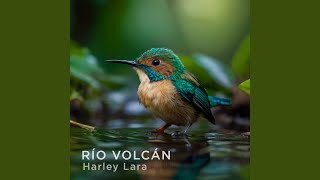 Download Lagu Adam (Adam) MP3