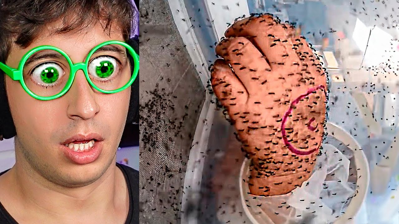 Experimento App Anti Mosquitos 🦟🖐🏻 (Cosas que NO sabías)