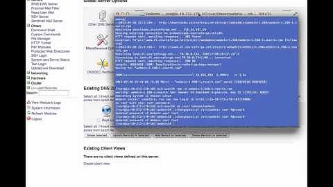 Configure BIND DNS Slave to Zerigo DNS Master