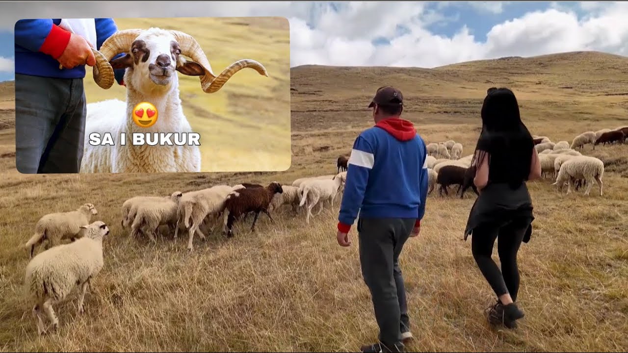 Ledjona më në fund shkon në vendlindjen e saj.