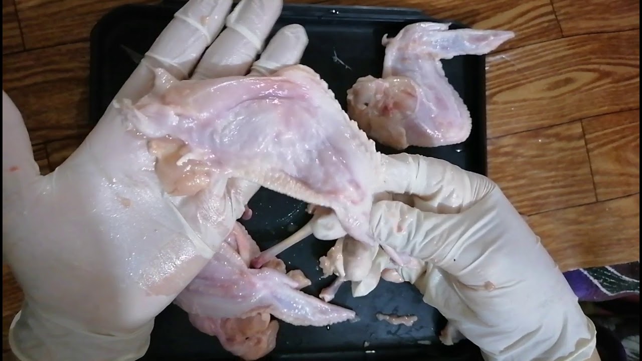 طريقه خلي اجنحه الفراخ و حشوها... 😱هل هي صعبه..؟||اكلات مطبخنا||