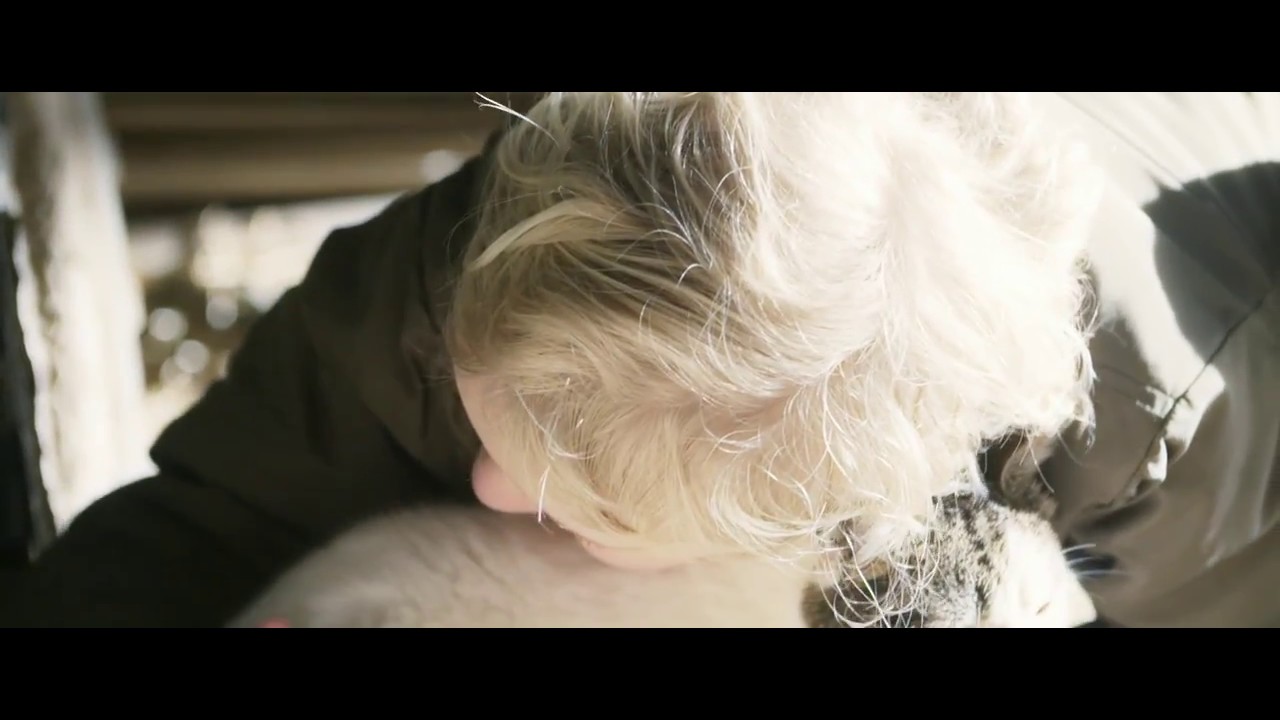 ...når du kigger væk - TRAILER