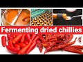 Fermenting Dried Chillies - Nyami Hot Sauce