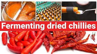 Fermenting Dried Chillies  Lets Make Hot Sauce!