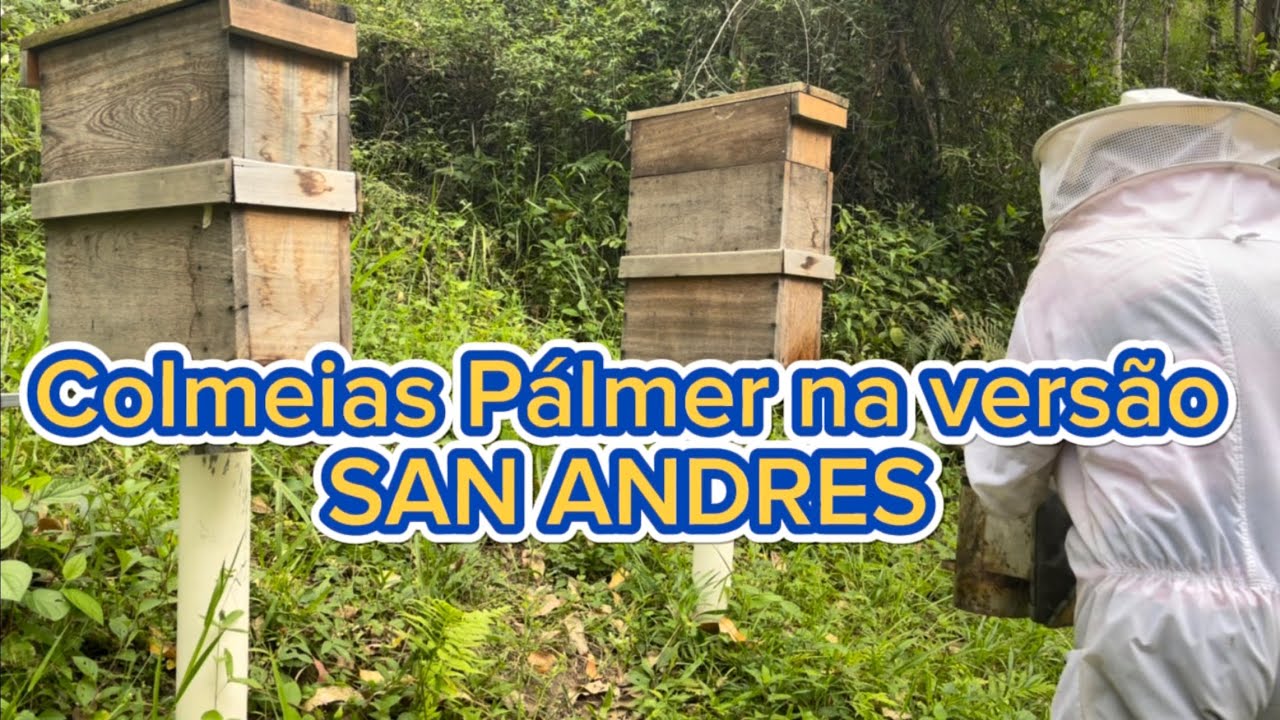Método PÁLMER na prática, apicultura profissional!