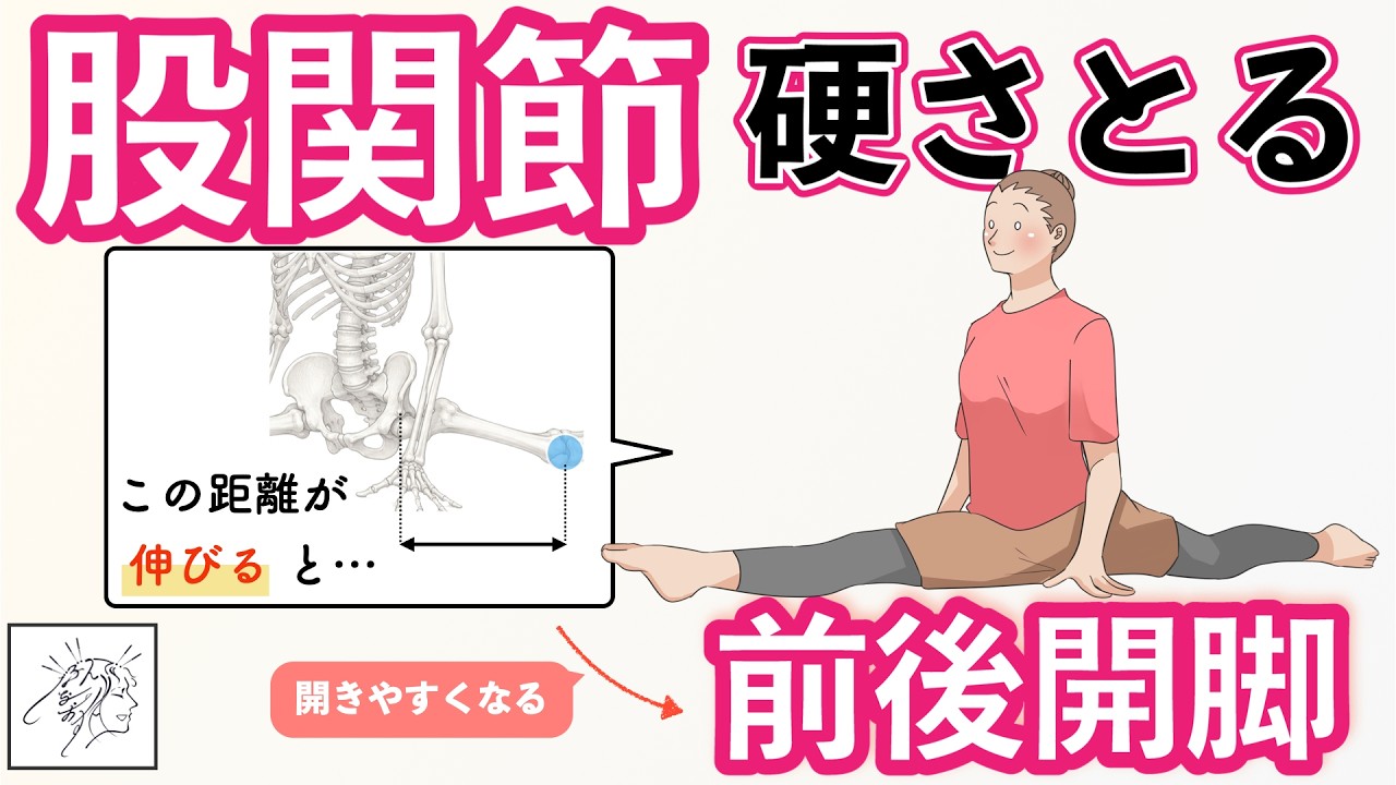 【股関節硬い】前後開脚が開きにくい原因とストレッチなしで開きやすく整える方法