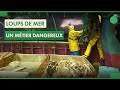 Loups de mer  la disparition des marins pcheurs