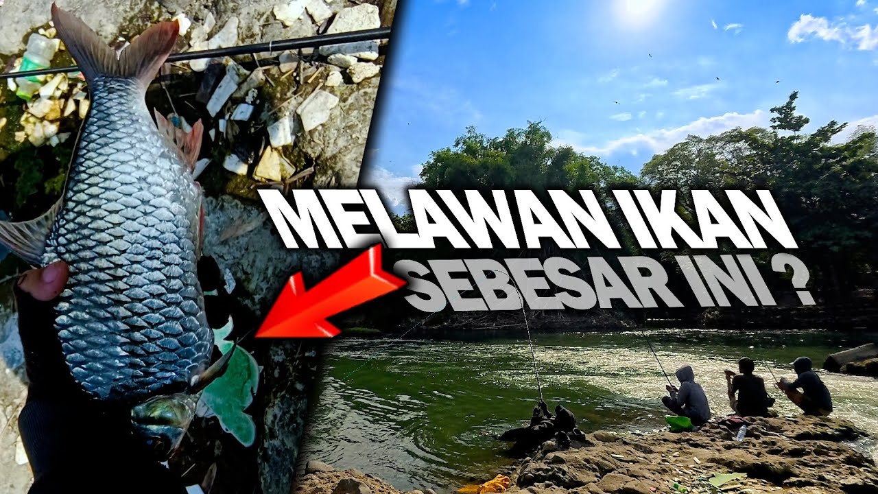 DAM SINDET, SURGANYA IKAN❗Tidak Ada Ikan Kecil di Sini - Spot Mancing di Yogyakarta