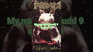 My name is Mudd by @officialprimus 9 out of 10. #Primus #MynameisMudd #FYp #music