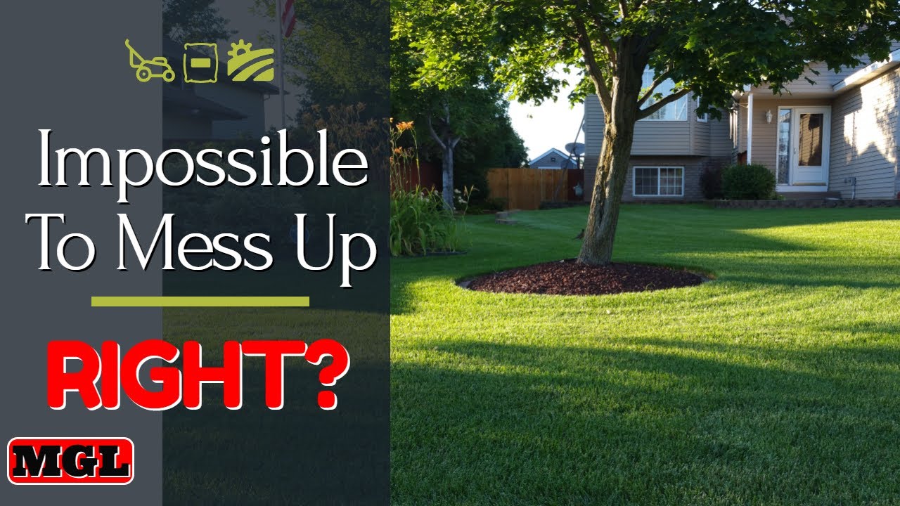 Professional Lawn Care Company Burns My Lawn YouTube