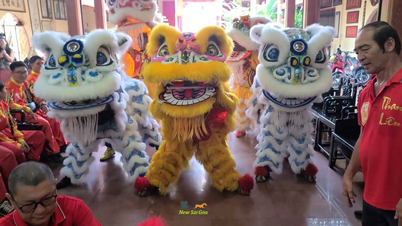 Chiều 17/11/2025, Đoàn Kim Sư Thanh Liên làm Lễ khai quang tại chùa Bà Hải Nam