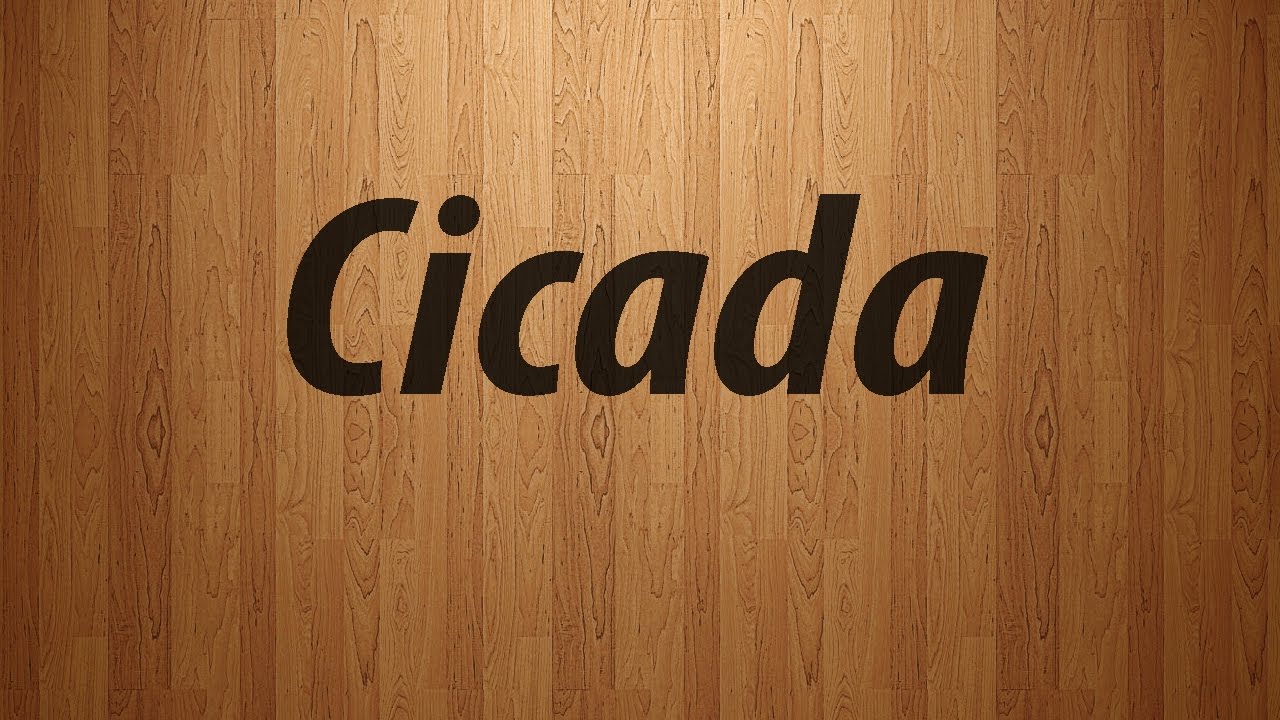Cicadas Pronunciation