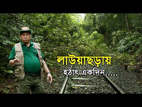 লাউয়াছড়ায় হঠাৎ একদিন| Lawachara National Park |প্রকৃতি কথা | Nature's Tale