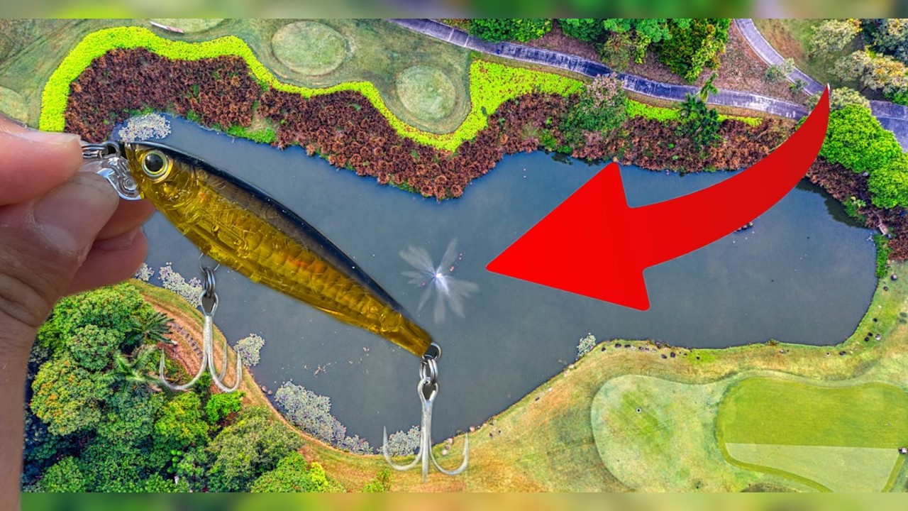 This Lure Caught ALL The BIG Bass!!!