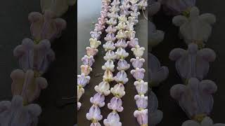 my crown flower lei
