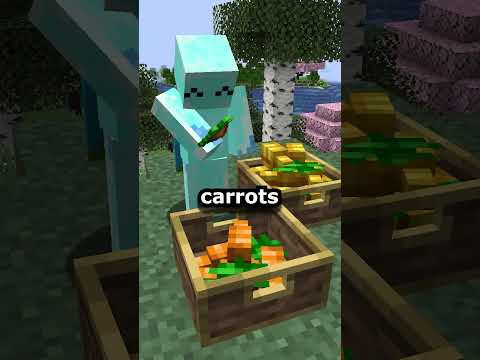 Food Features that would fit Minecraft