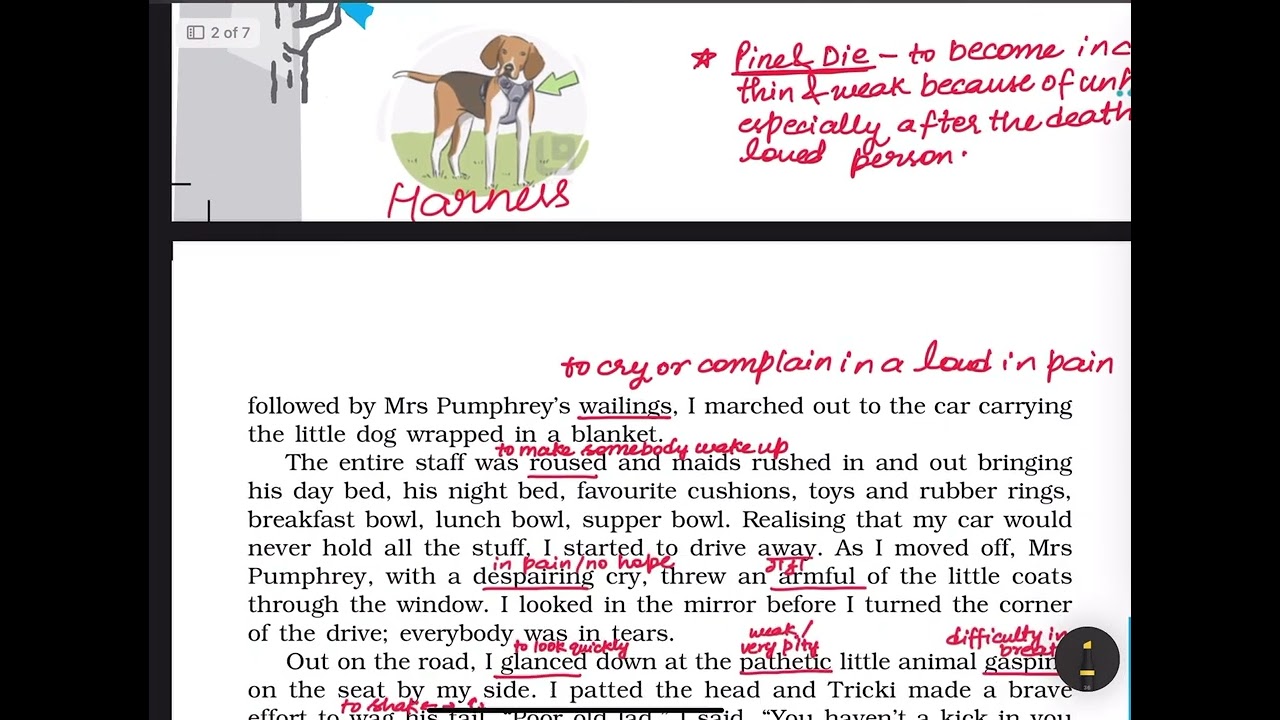 A TRIUMPH OF SURGERY/ CBSE/ CLASS 10/ ONE SHOT