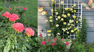May Front Yard Garden Tour