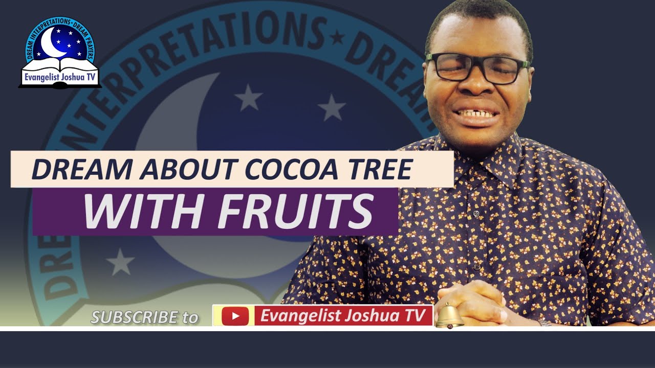 Dream About Cocoa Tree with Fruits Biblical Meaning from Evangelist
