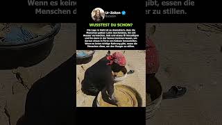 Menschen essen Kekse und Schlamm, um zu überleben