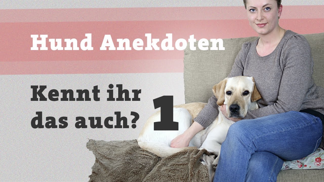 Mein Erstes Mal Mit Dem Hund Kennt ihr das Teil 1 - Lustige Geschichten und Anekdoten rund um den