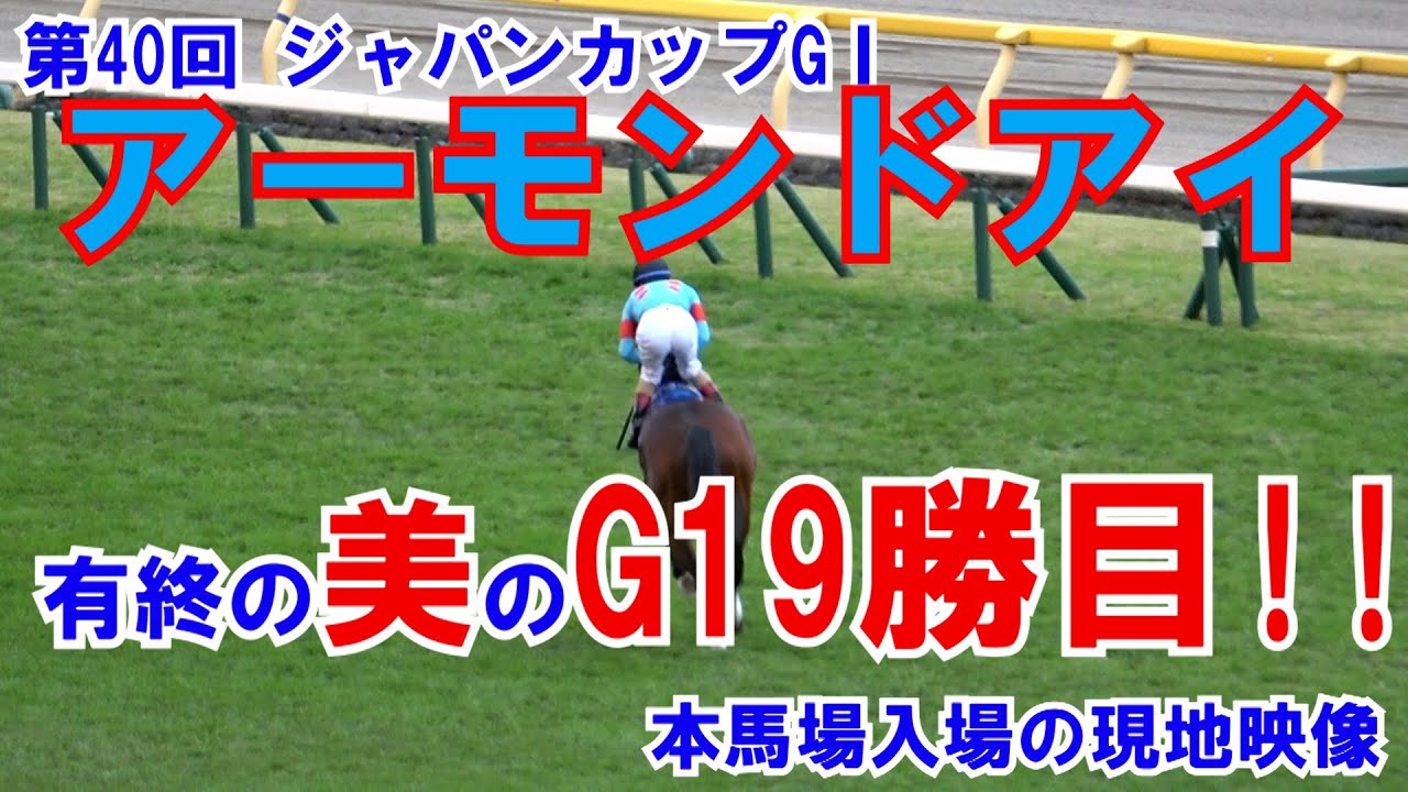 競馬】2020 第40回 ジャパンカップGⅠ本馬場入場 現地映像 アーモンド