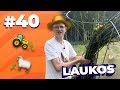 RASĒNS TV #40 JORETS LAUKOS