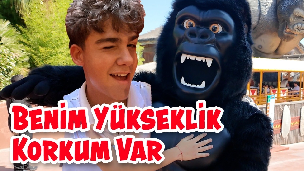 King Kong'un Görevleri w/ Ali Kayra Gürel
