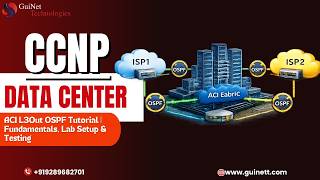 ACI L3Out OSPF Tutorial | Fundamentals, Lab Setup & Testing