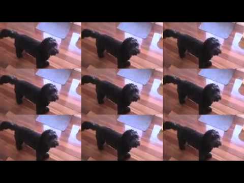 Ruby music video
