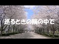 巡るときの輪の中で(original song)ー青野弘海